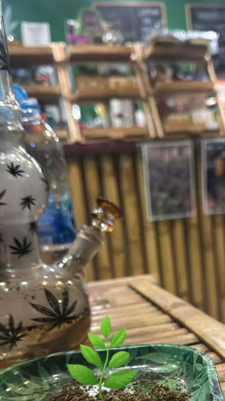 Naba - NatureBased Cannabis