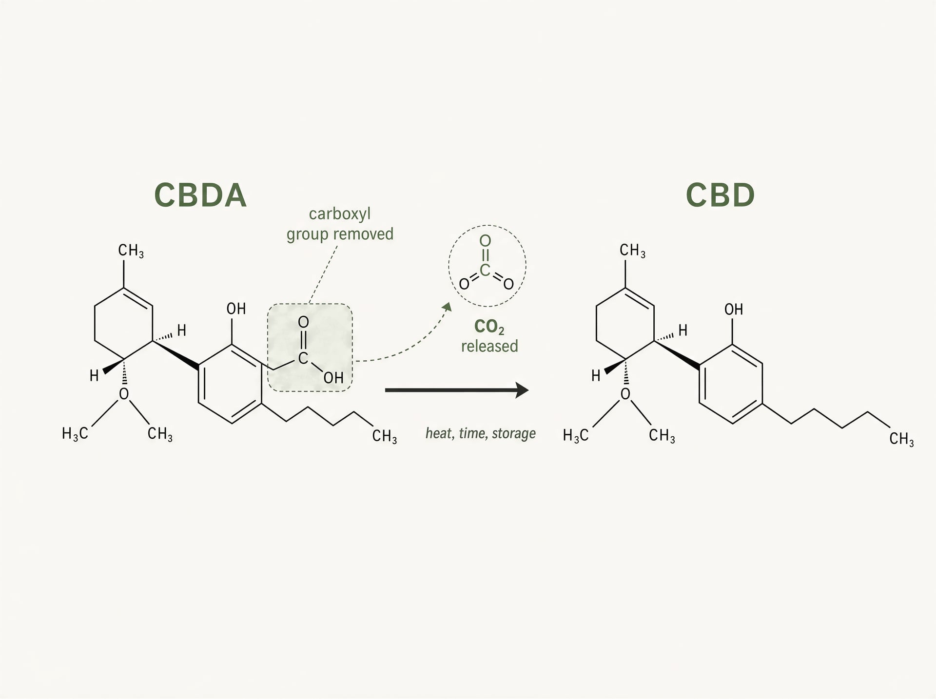 Schematic showing CBDA converting to CBD and releasing carbon dioxide.
