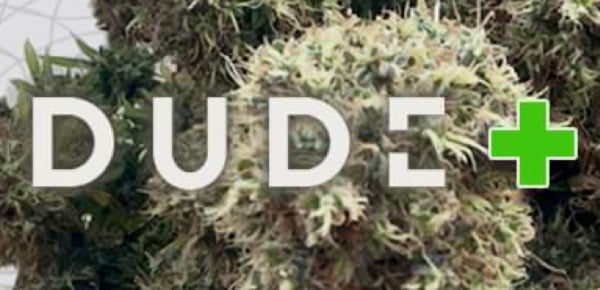 Oodydudeplus