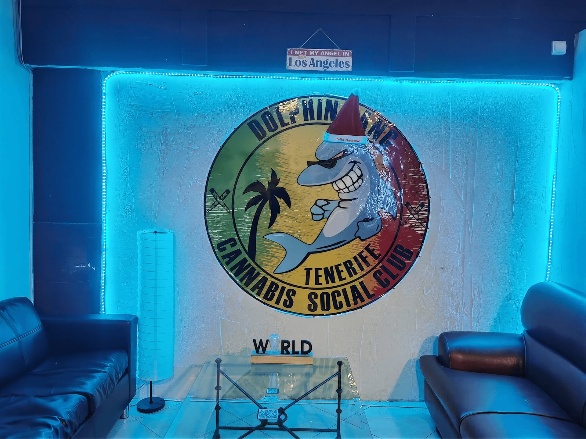 Dolphin Gang Social Club
