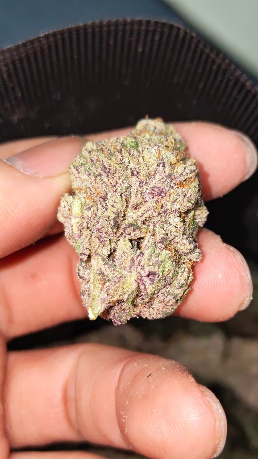 Royal Cannabis Dispensary Ll