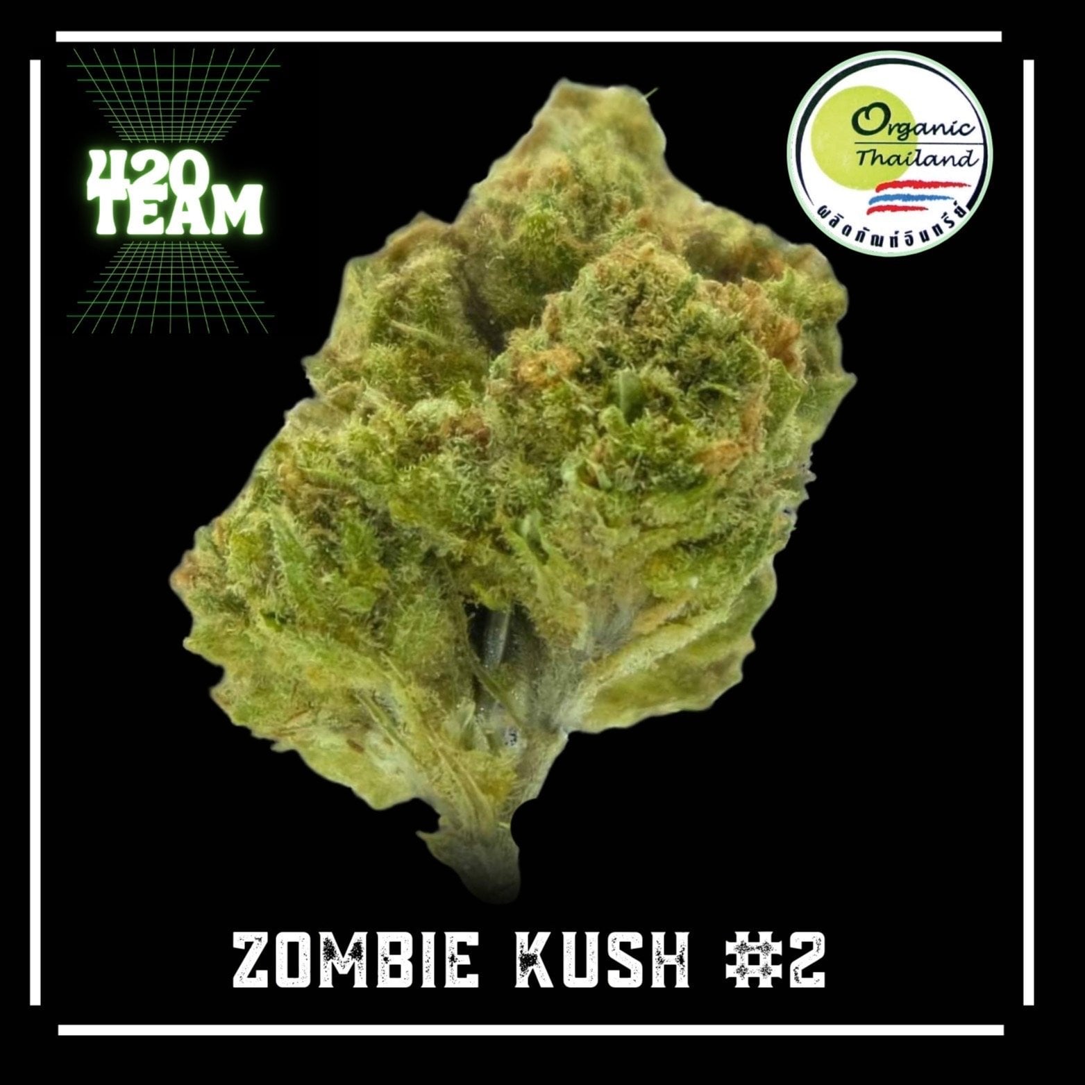 Organic - By.420 Team