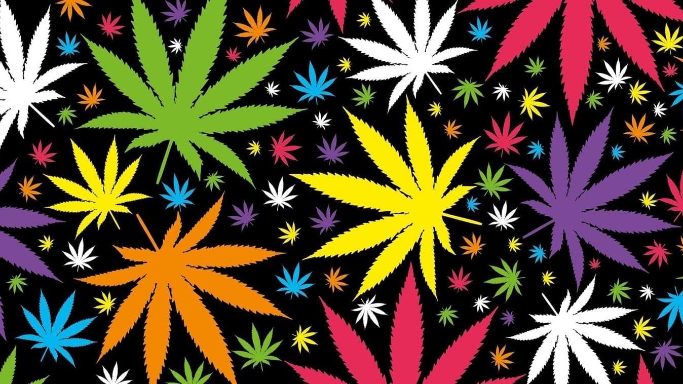 TZ Chronic