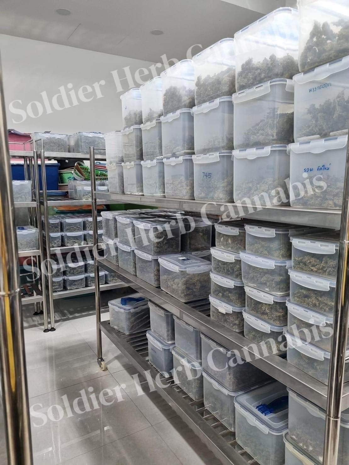 Soldier Herb Cannabis