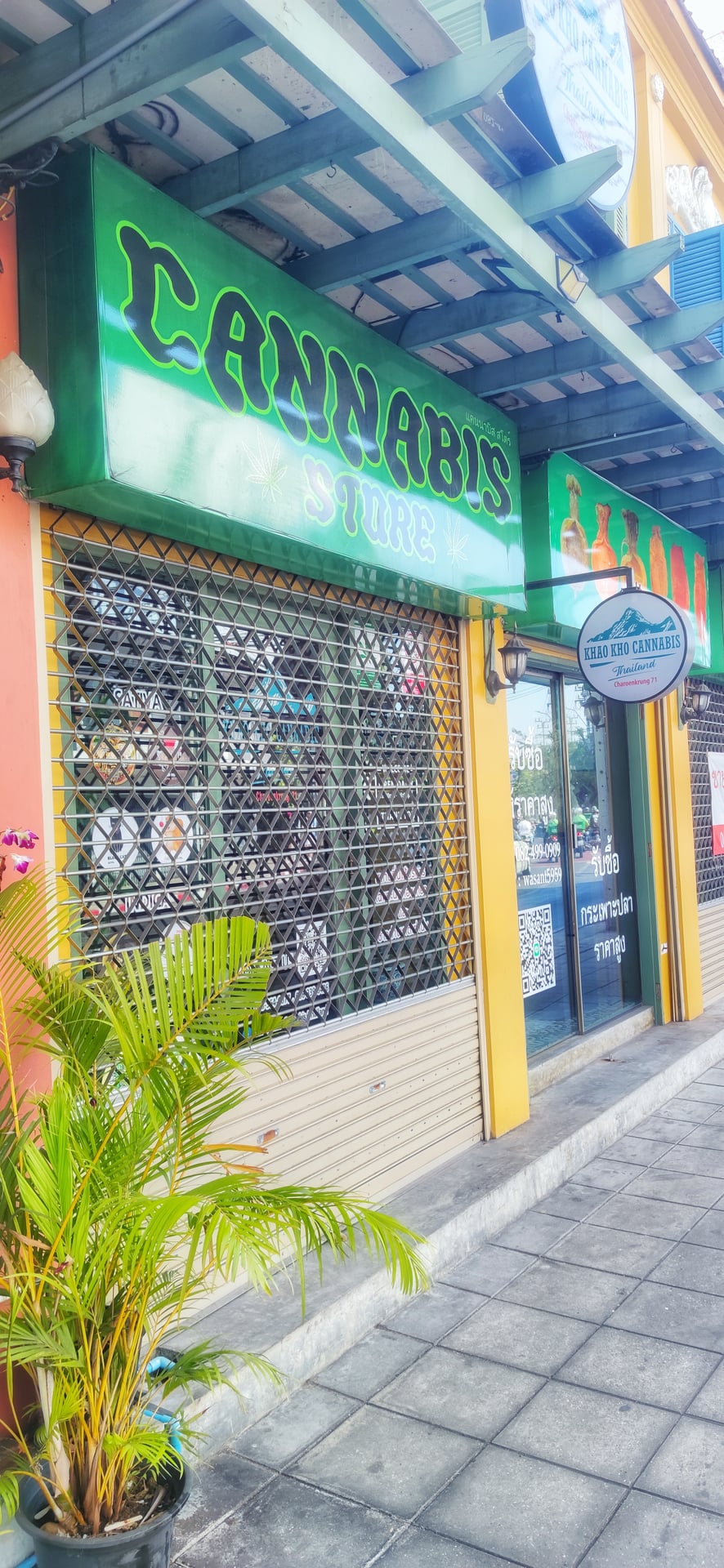 Khao Kho Cannabis