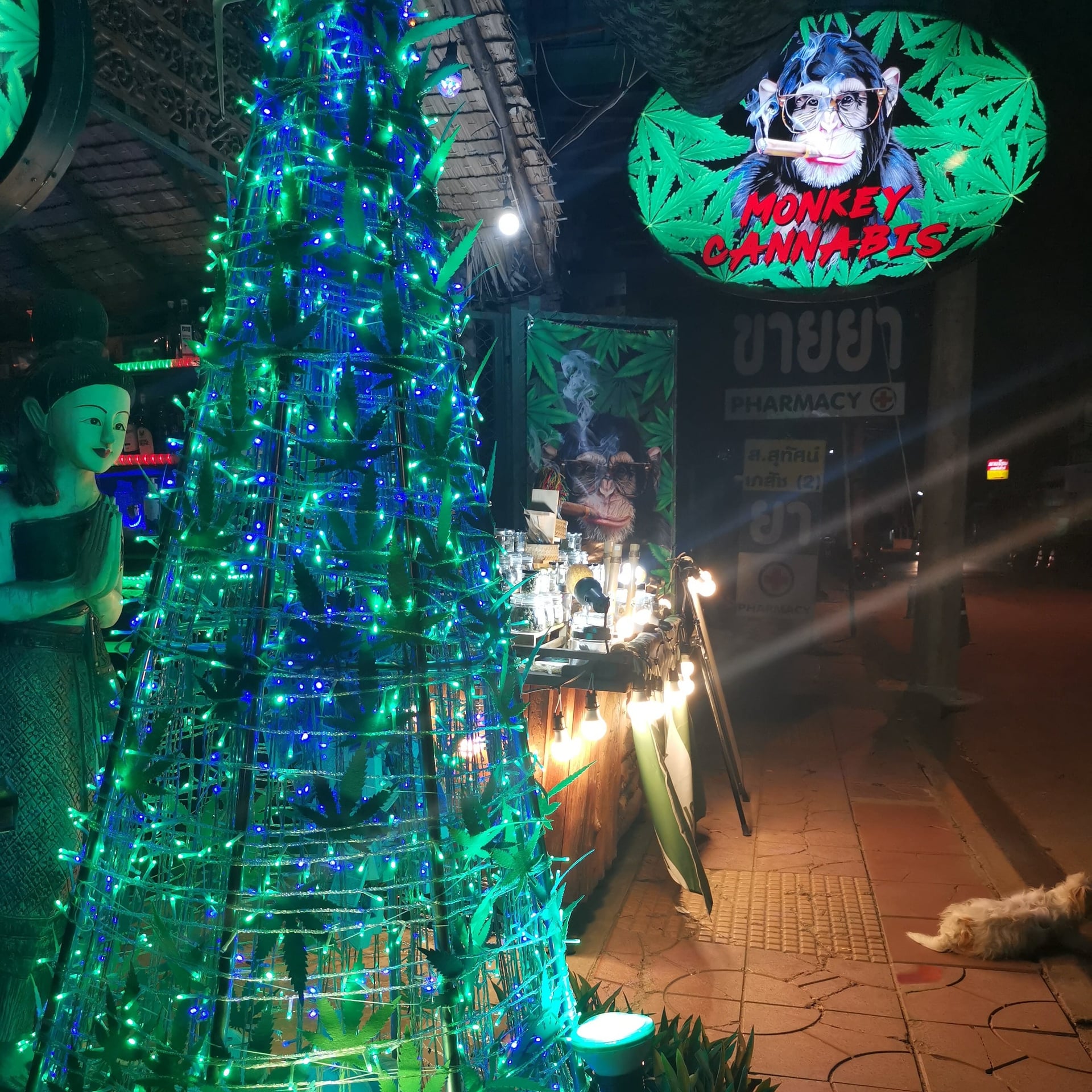 Monkey Reggae Bar