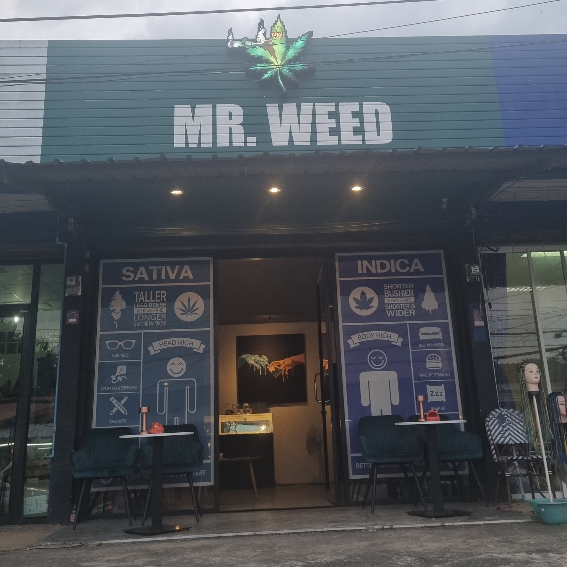 Mr.weed