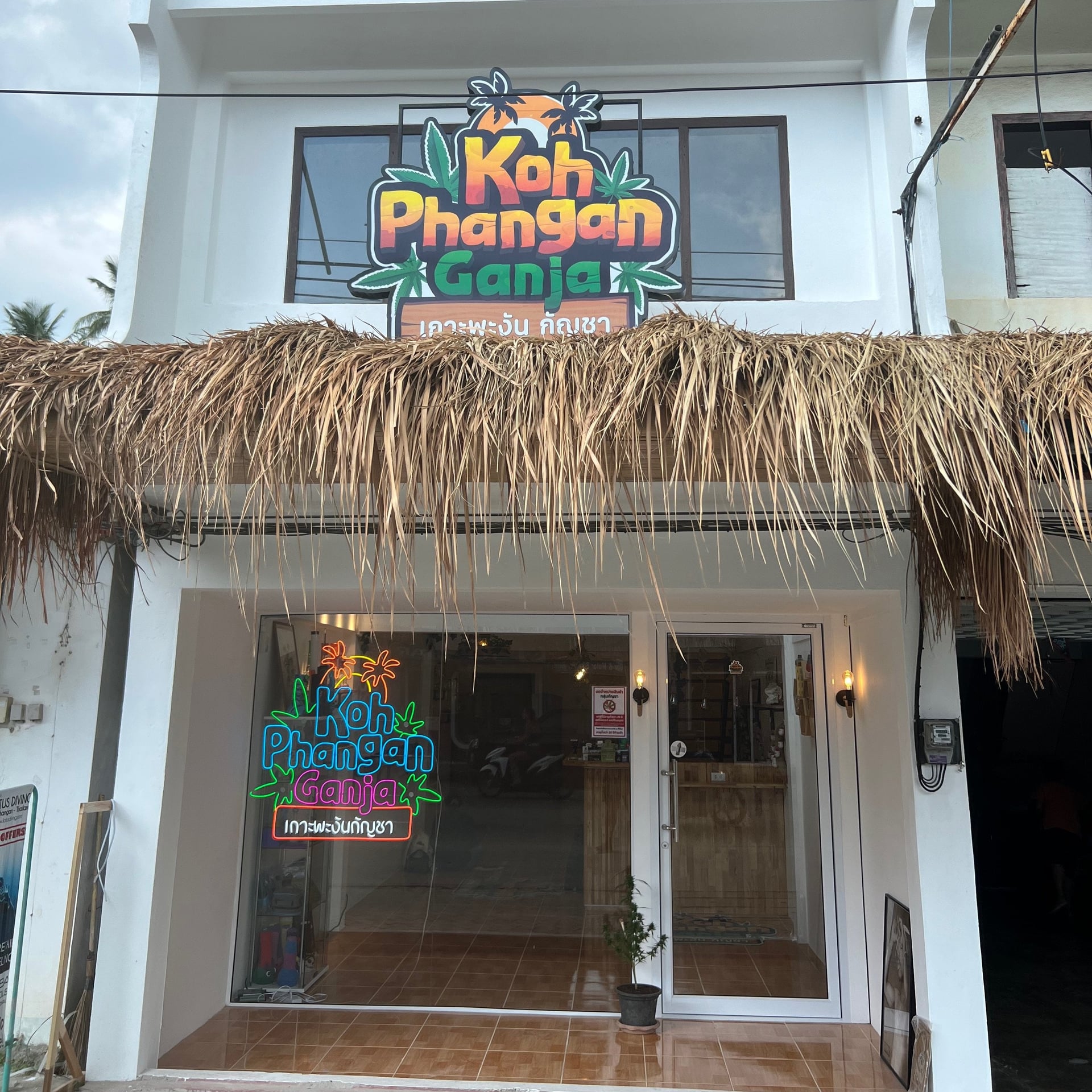 Koh Phangan Ganja