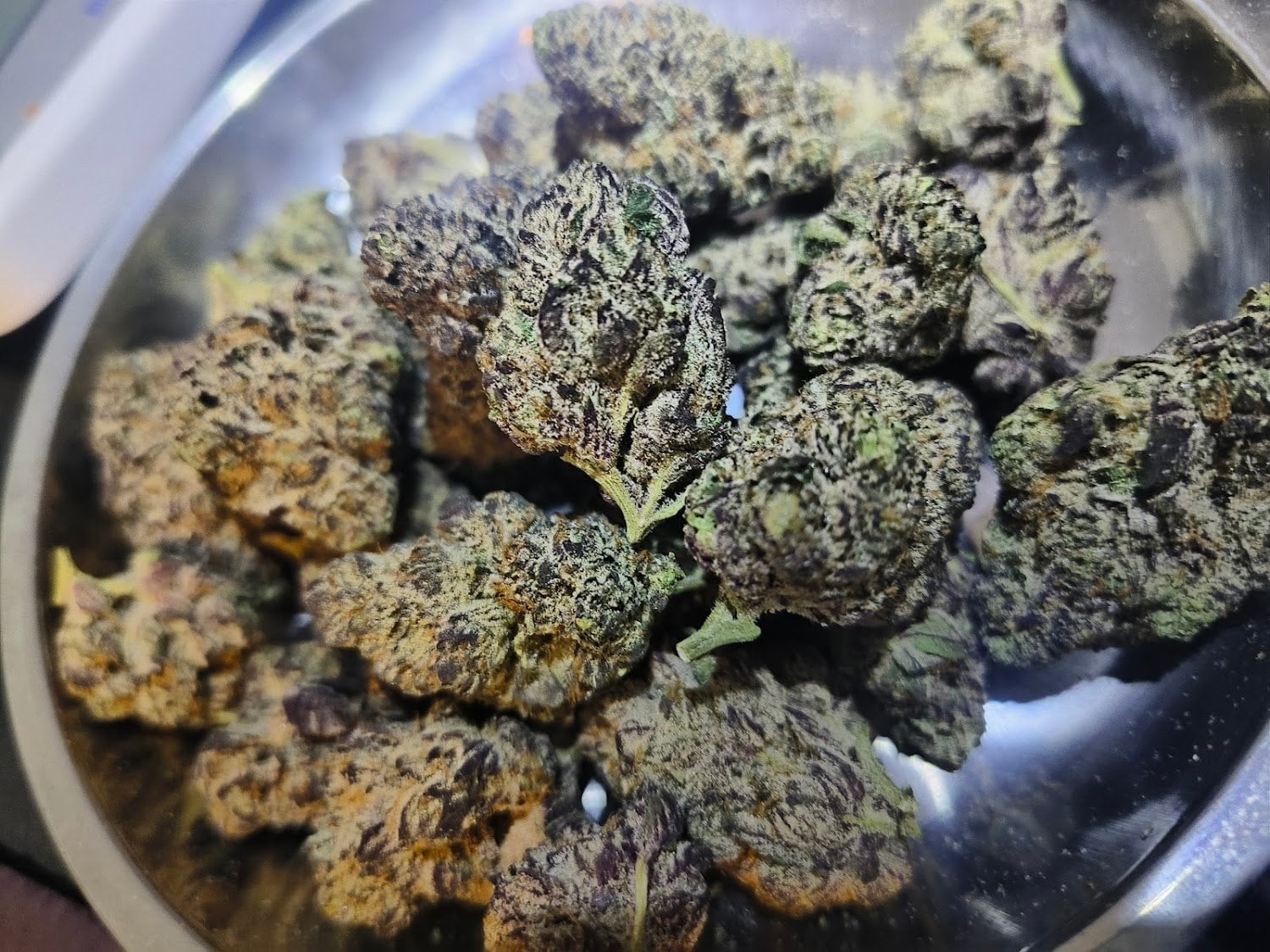Fizzy Dizzy Cannabis Café