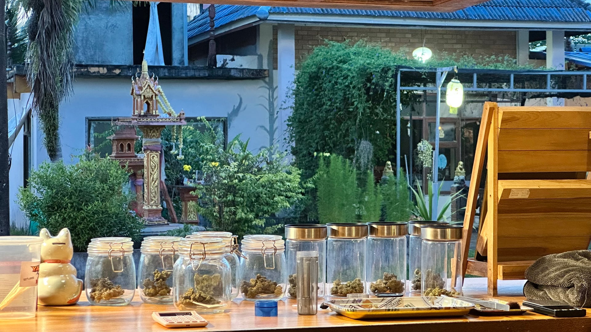 Weed Land Mai Khao