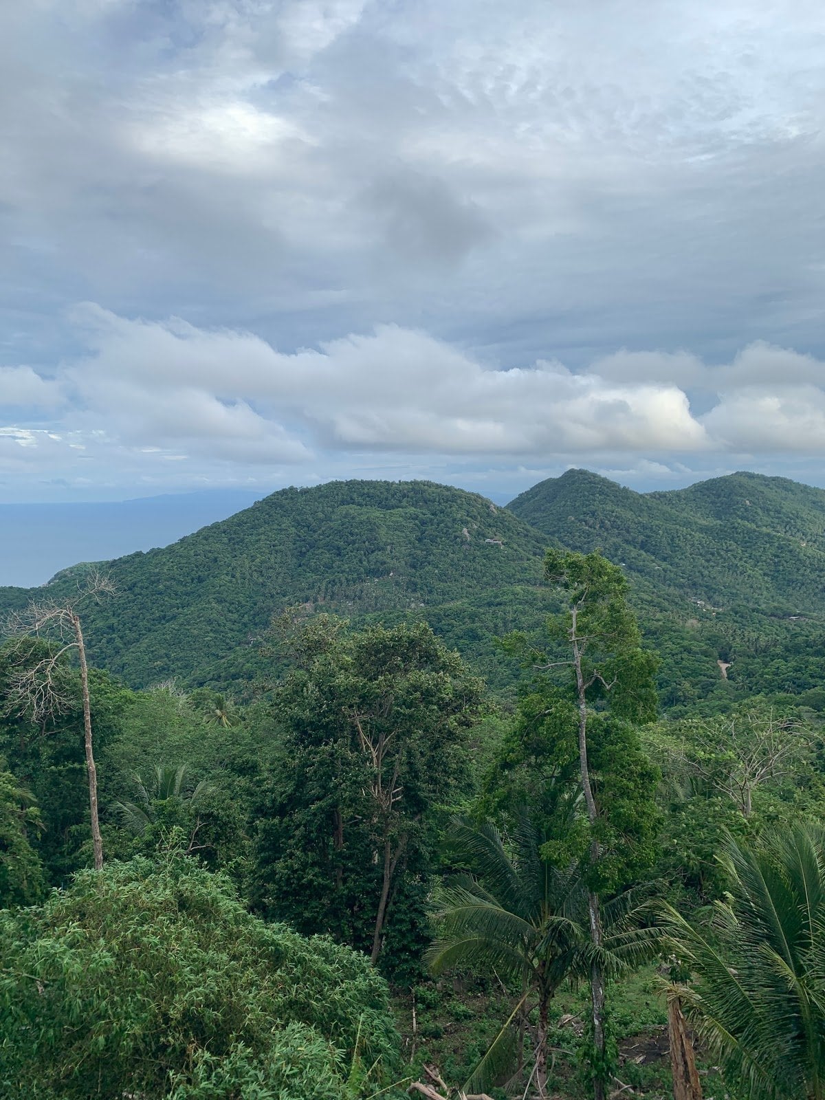 Tar Bar