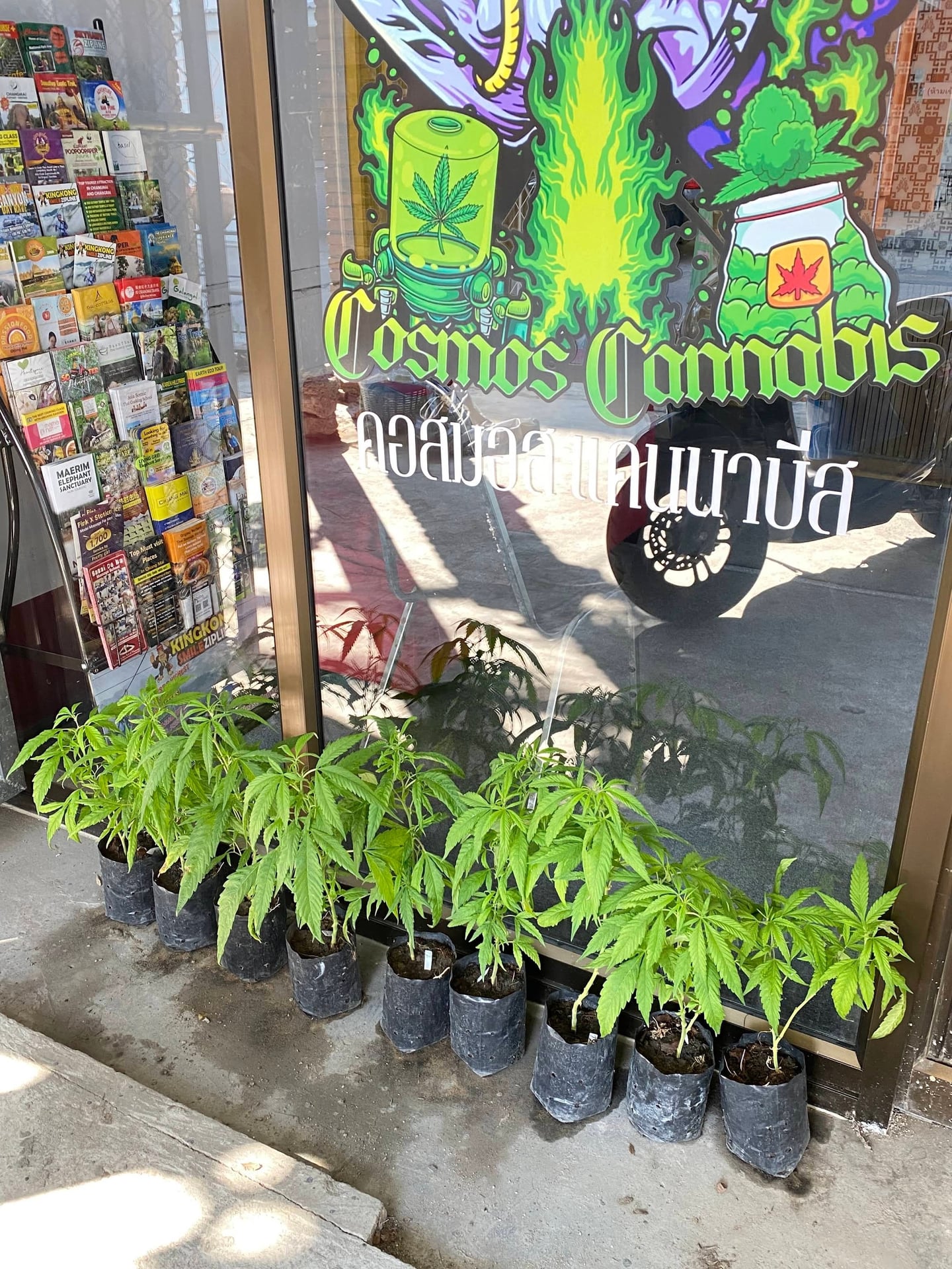 Cosmos Cannabis