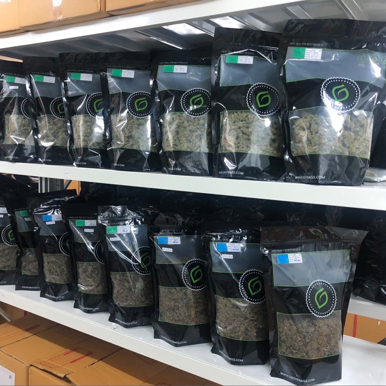 Maesaraing Cannabis Farm