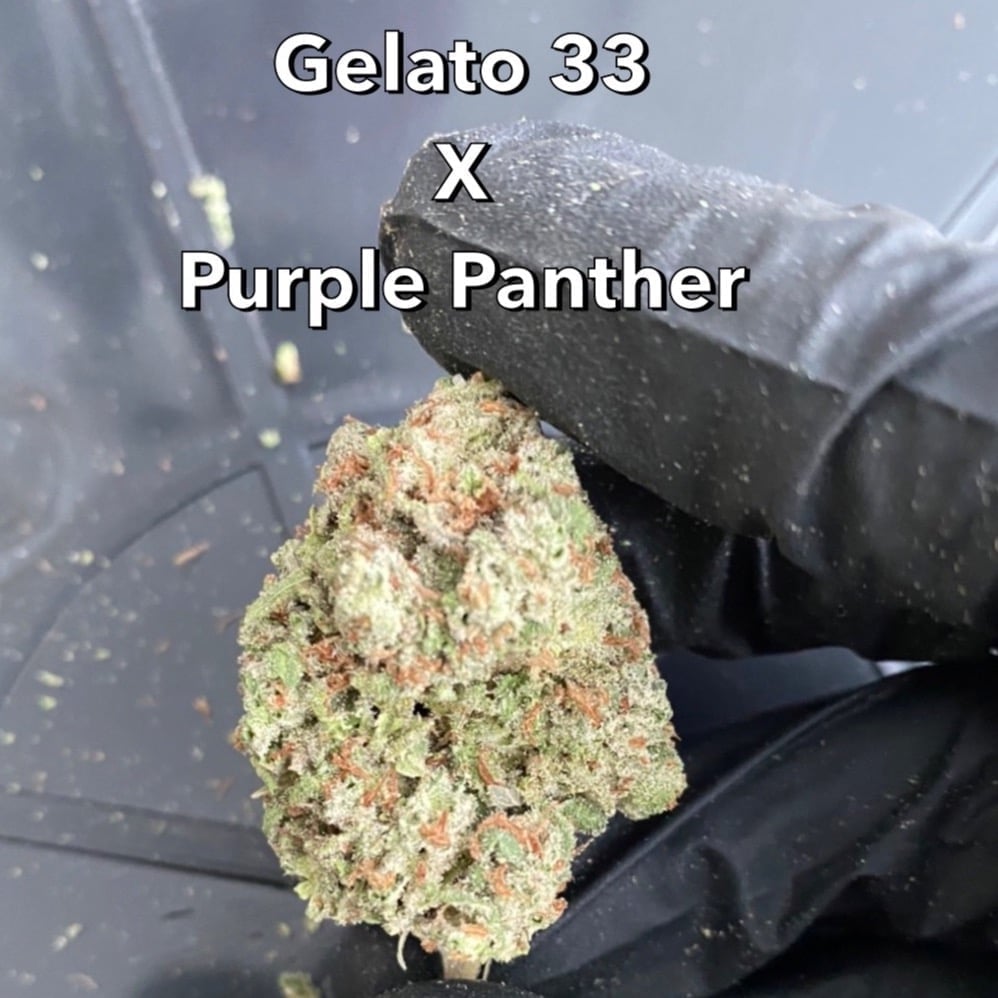 Idol Farm Gacp Cannabis
