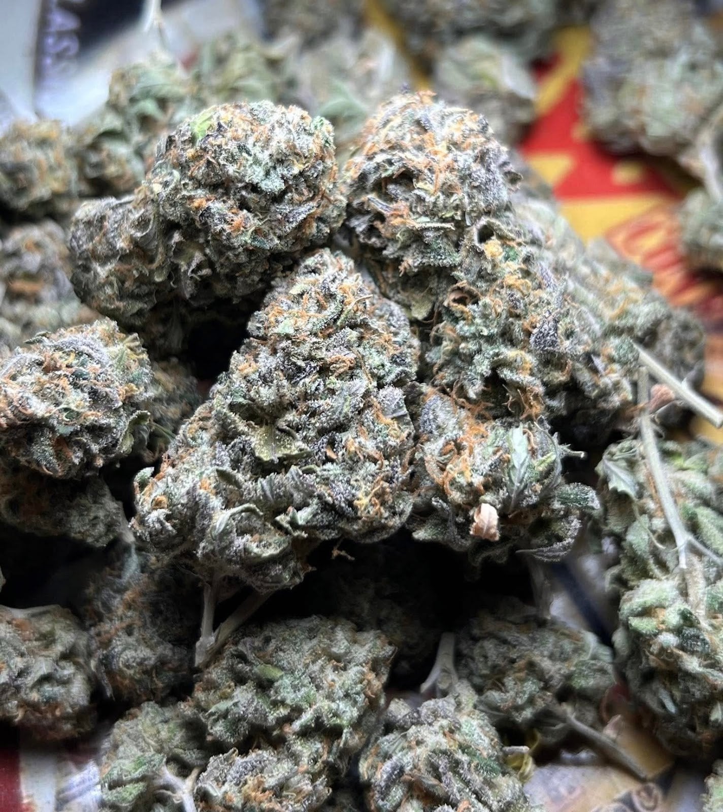Cannabis Shops