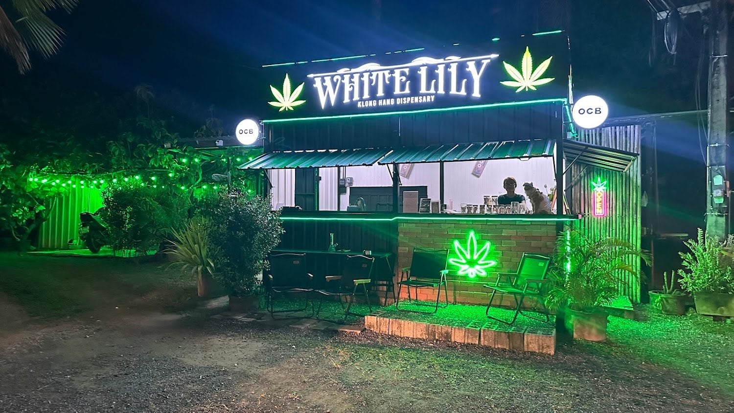 White Lily Cannabis Dispensary & Weed Shop Klong Hang Krabi
