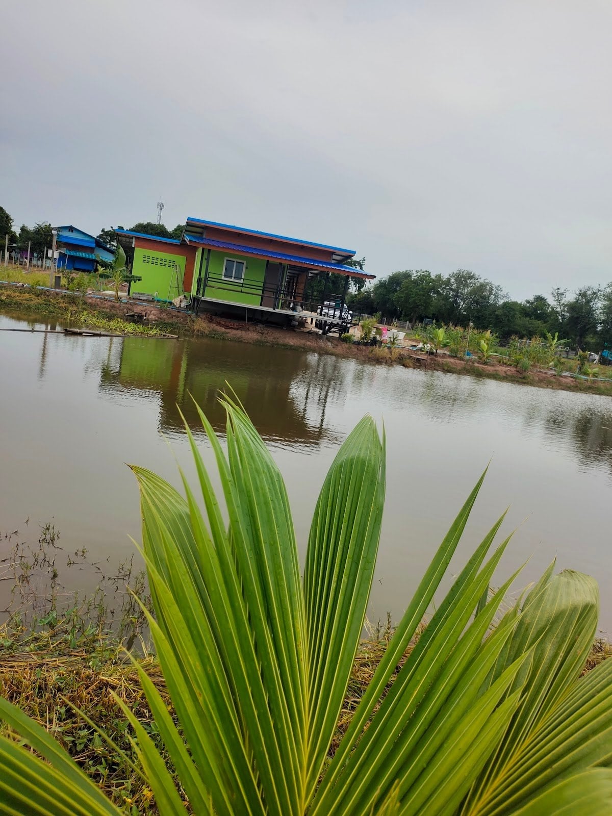 Thung Ganja Garden