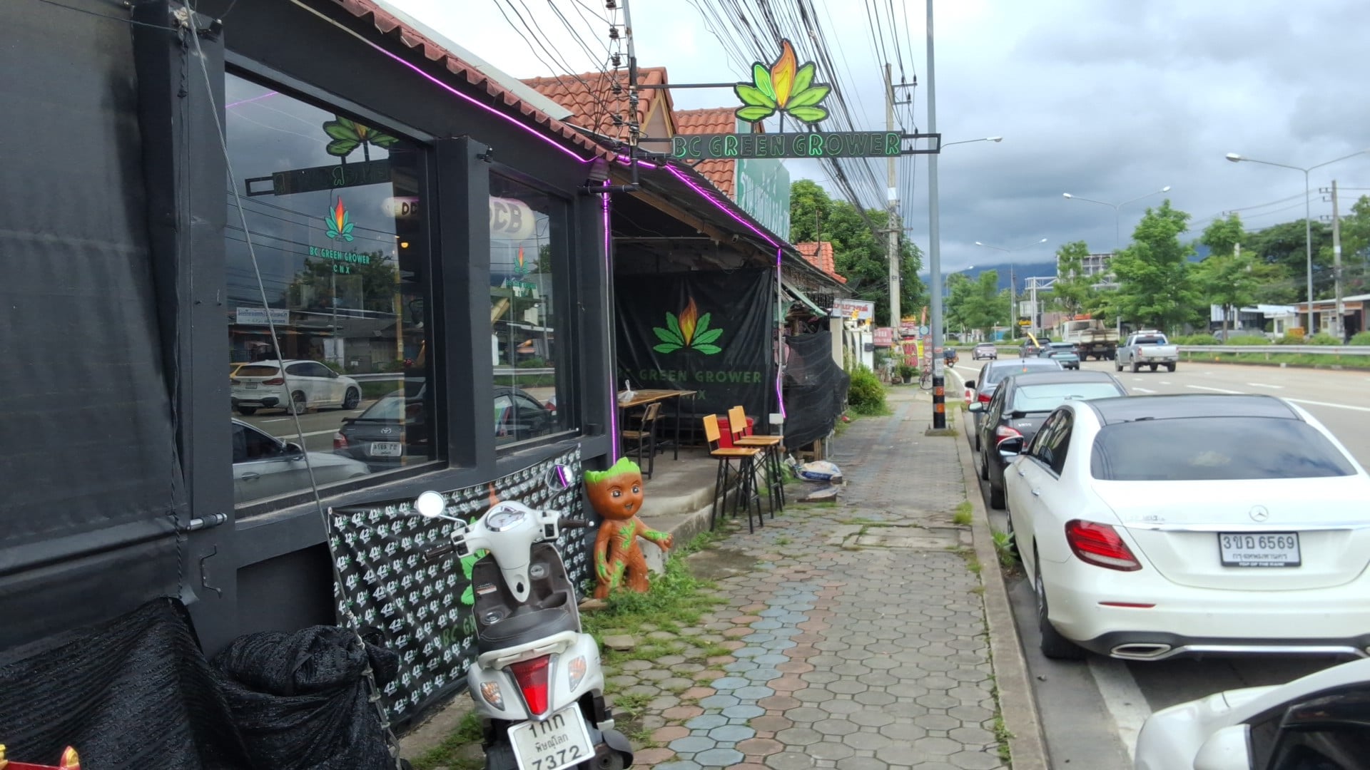 BC Green Grower Cafe
