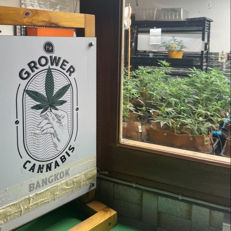 Hi Grower