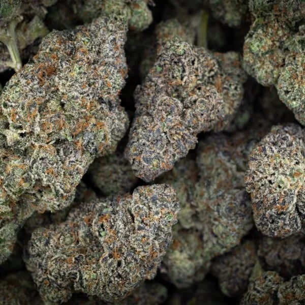 Cannabear