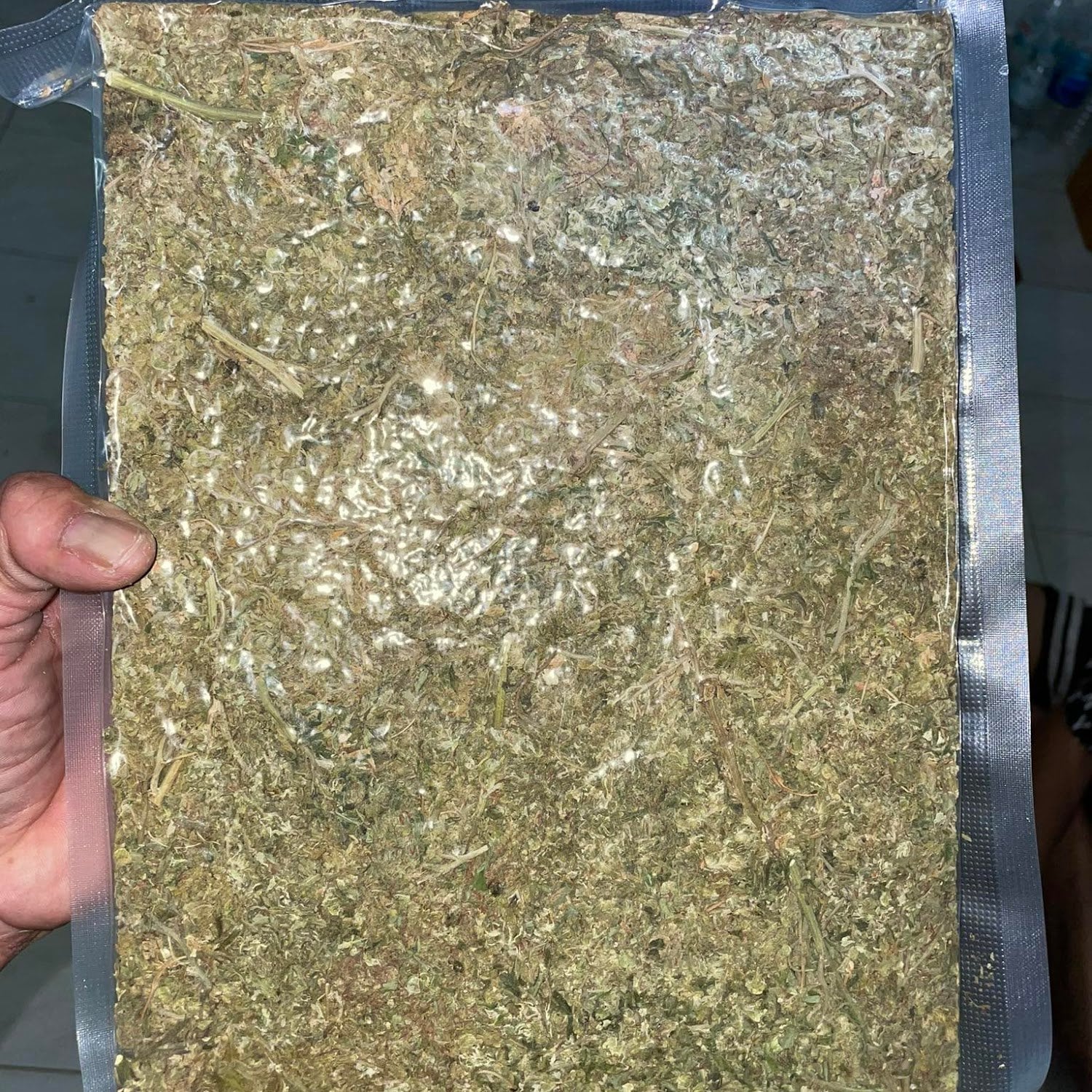 The Blusir Cannabis