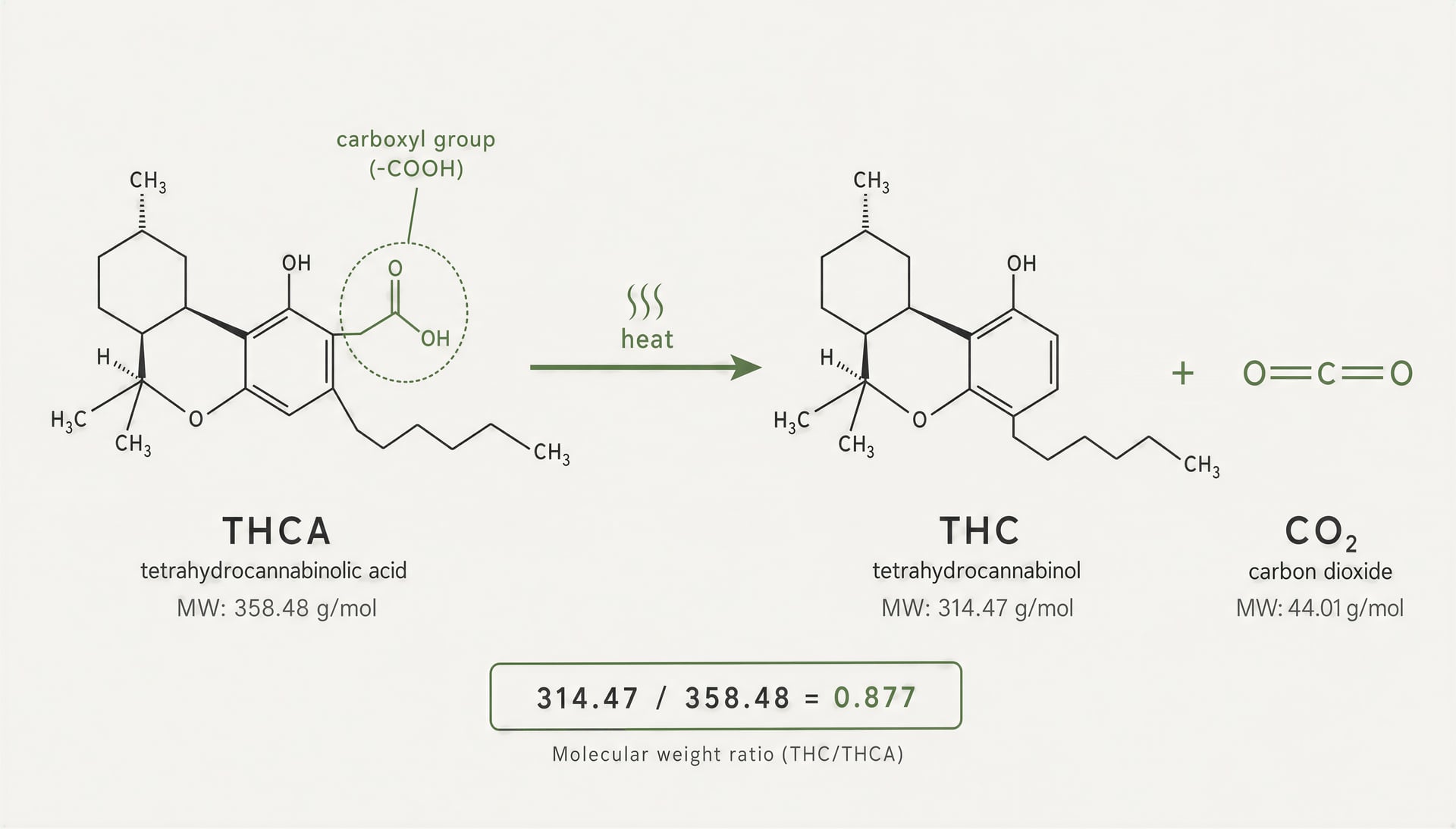 THCA समझाया गया: रसायन, डिकार्बोक्सिलेशन, परीक्षण और कानून