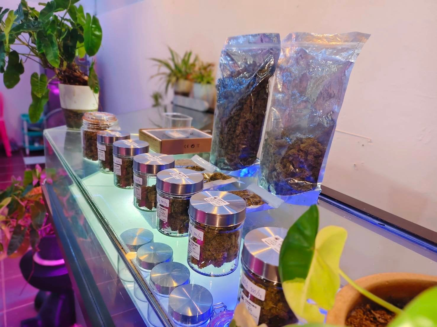 Lion Cannabis