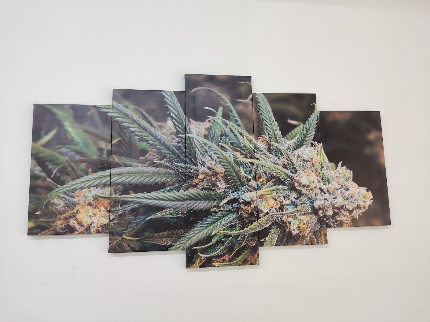 420Canabi$ Family Cafe