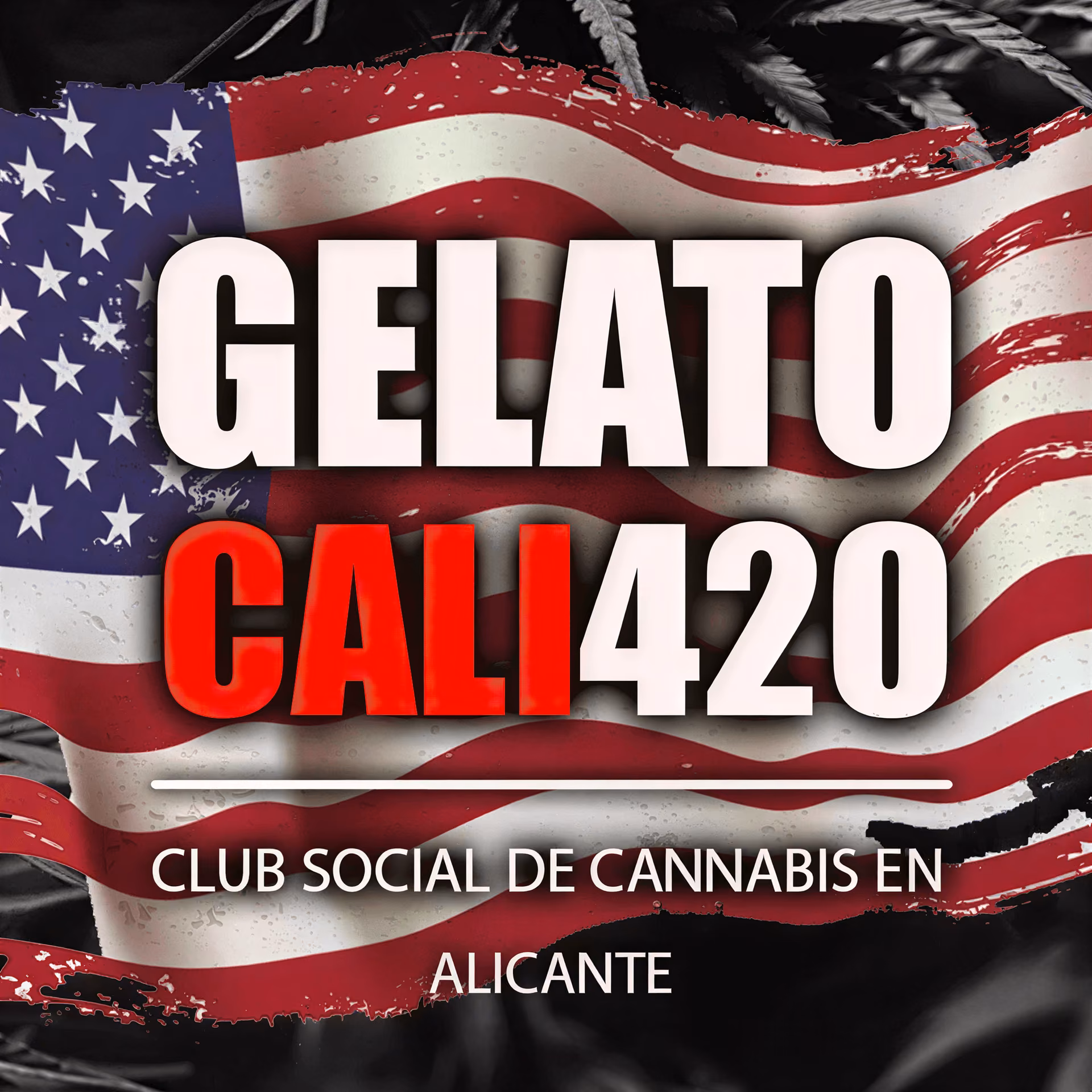 Gelato Cali 420