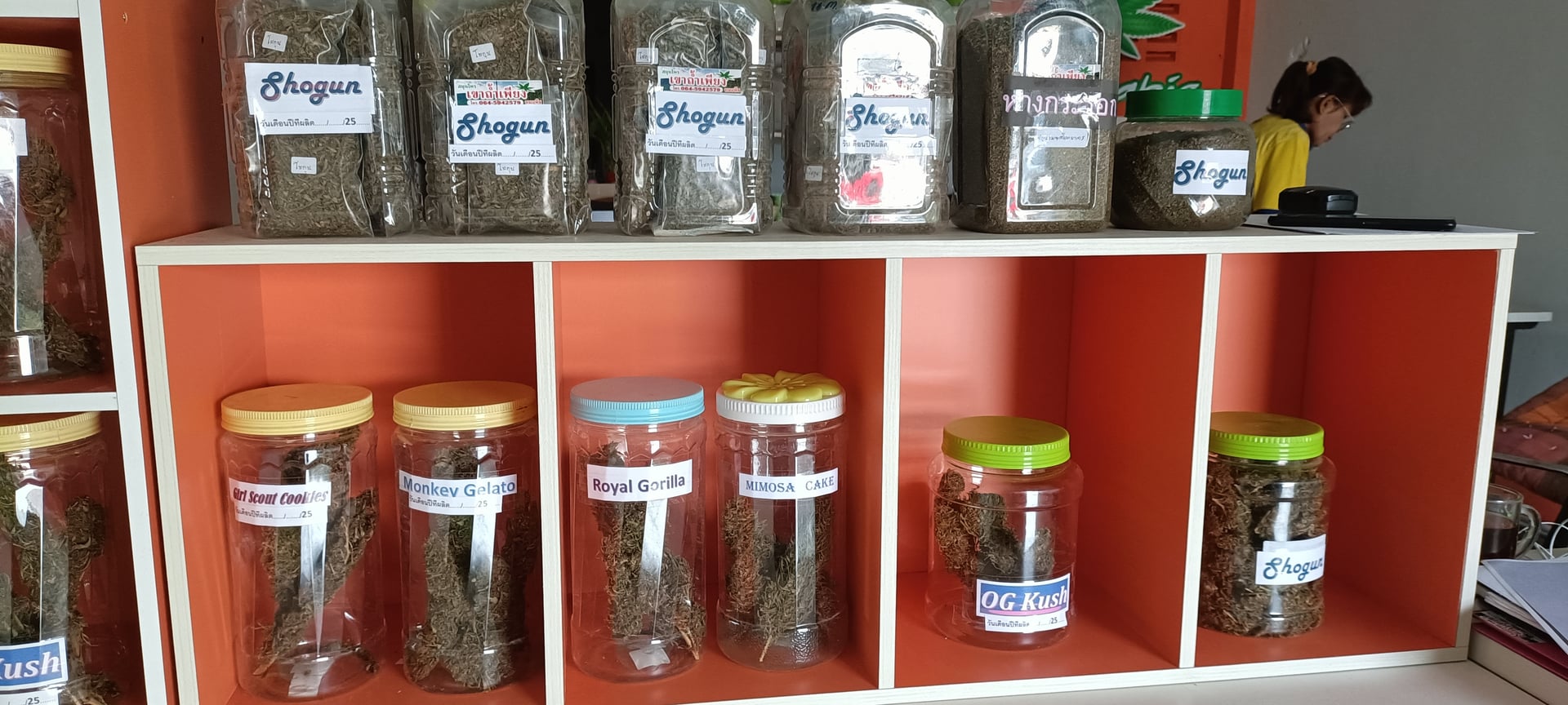 Mhopuech Cannabis