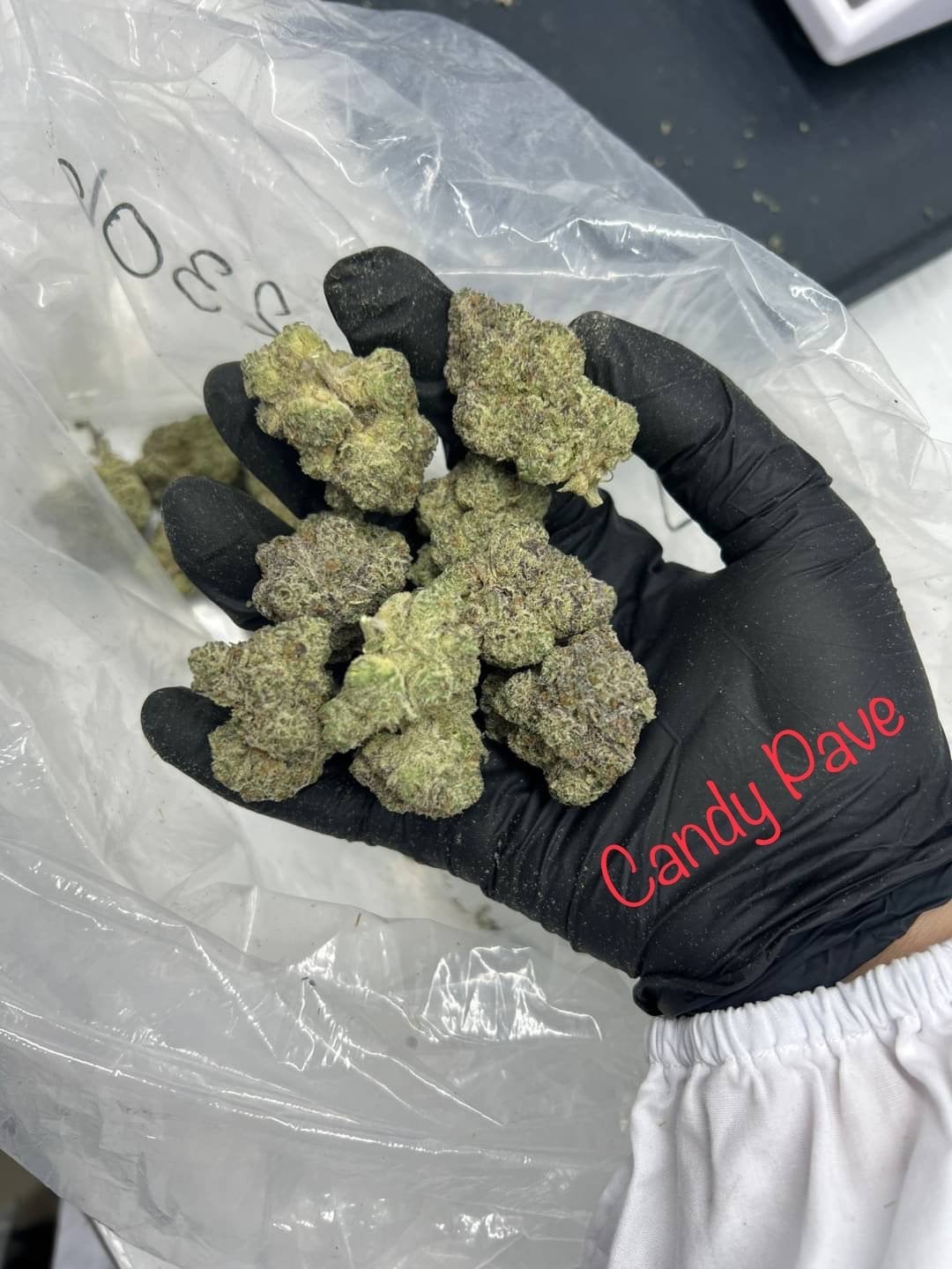 Weed Castle Asiatique - Cannabis