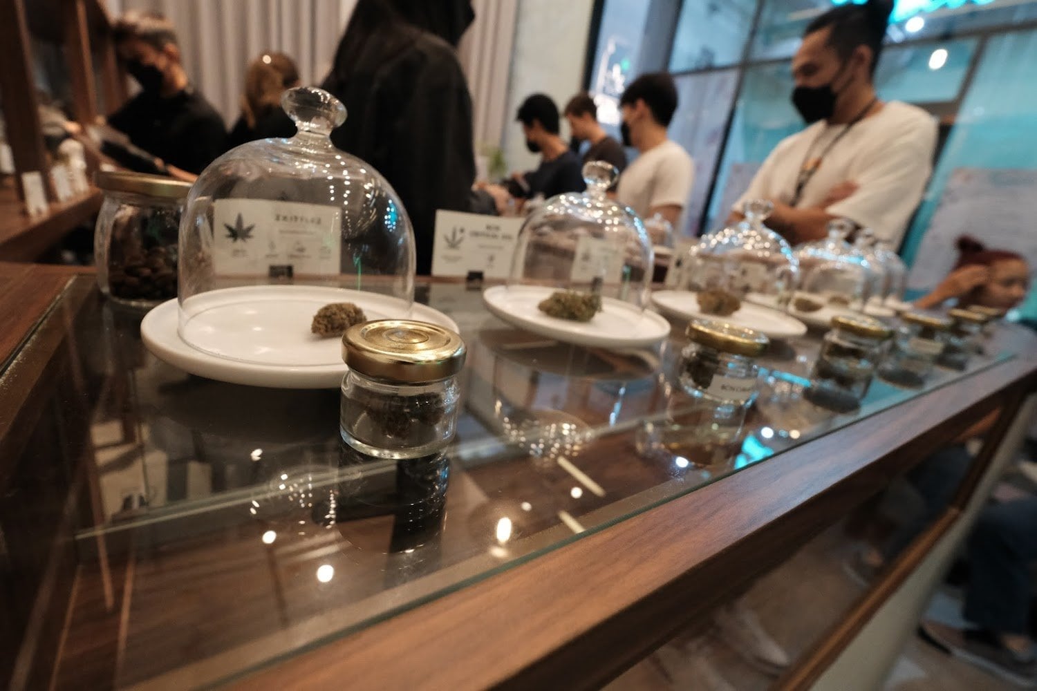 The Weed Shop Phra Khanong