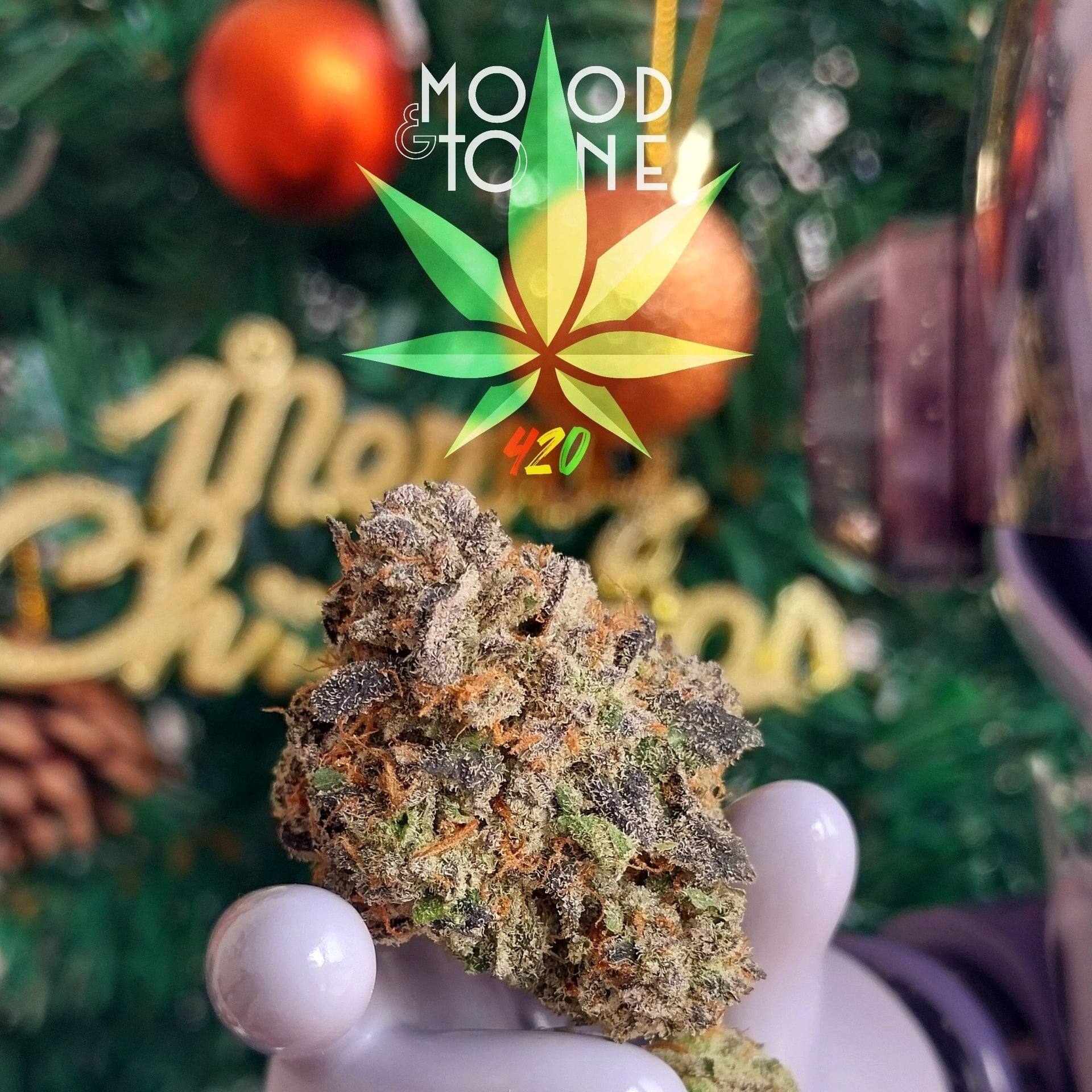 Mood & Tone420 Cannabis Shop × Sativa