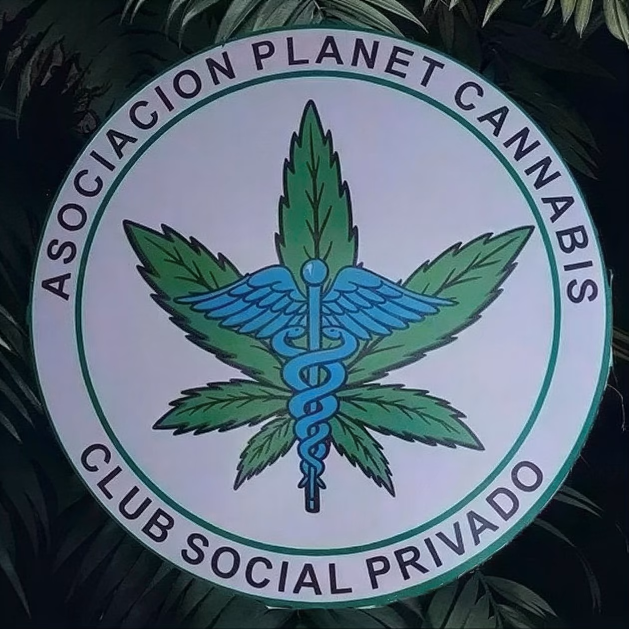 Asociación Planet Cannabis logo