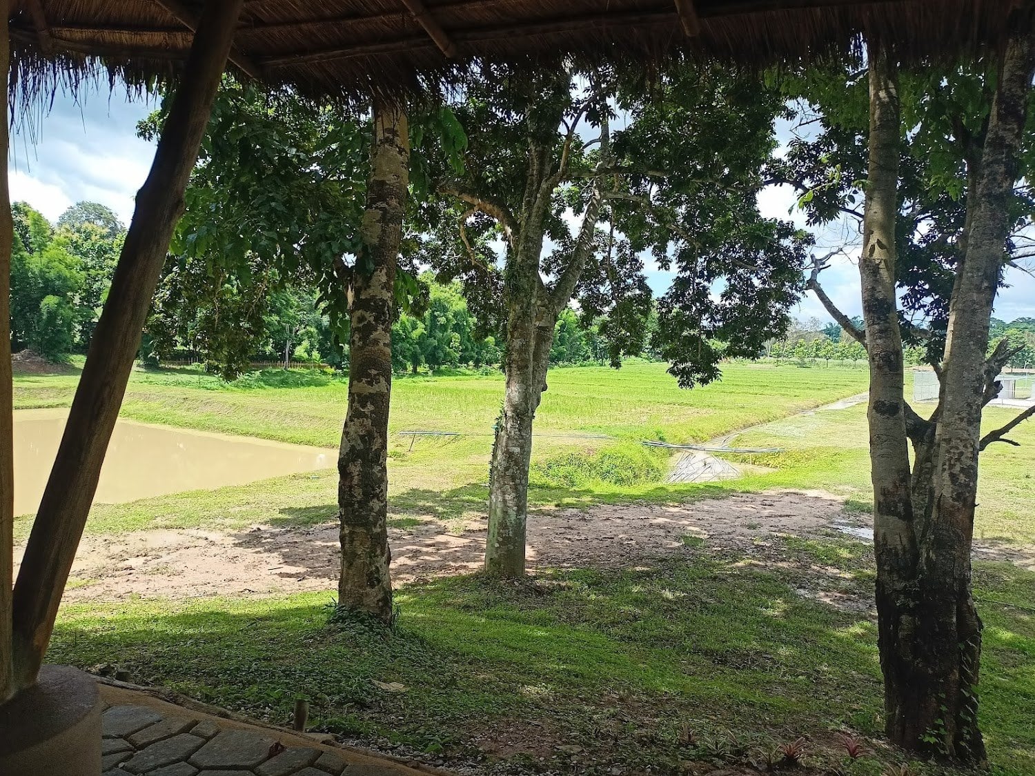 Innoleaf Valley