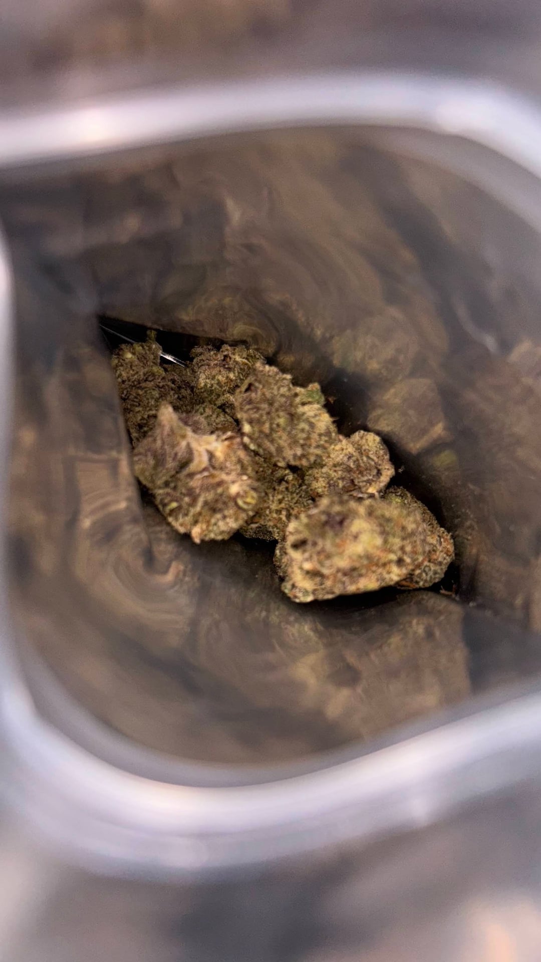 Stoner Island