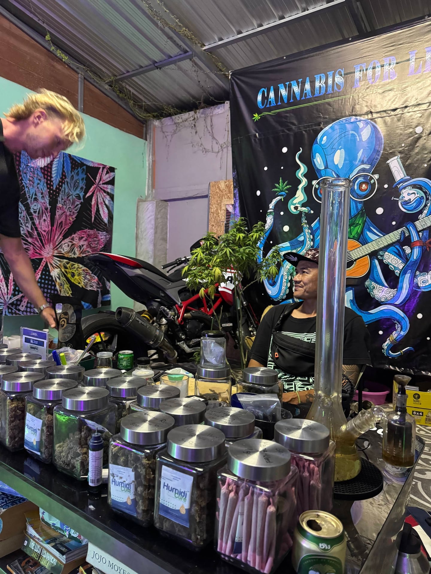 Cannabis For Life Lanta