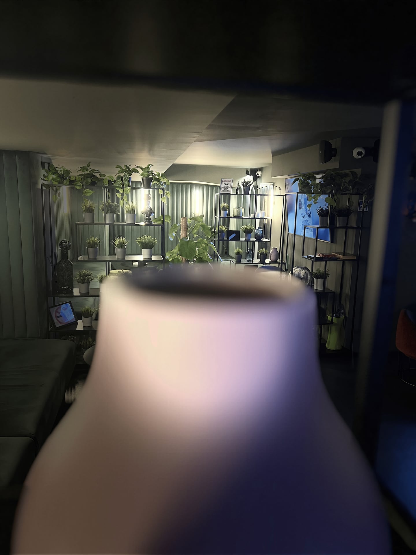 The Green Boutique