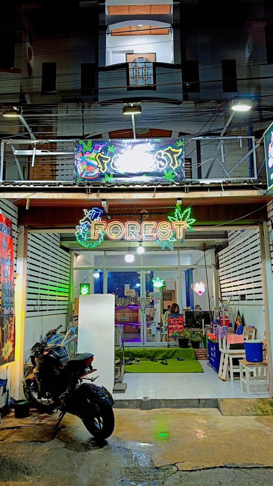 Forest Cannabis