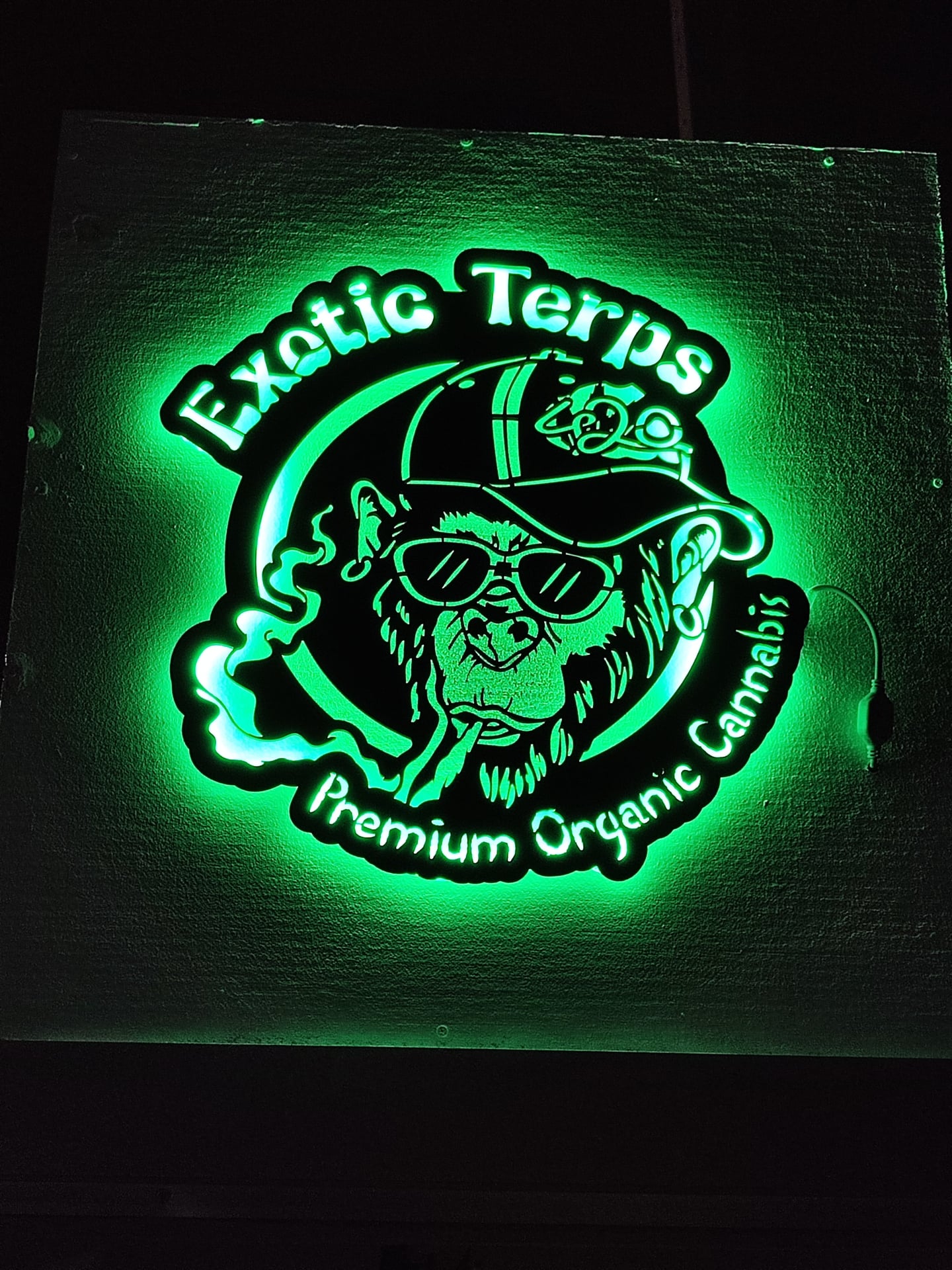 Exotic Terps