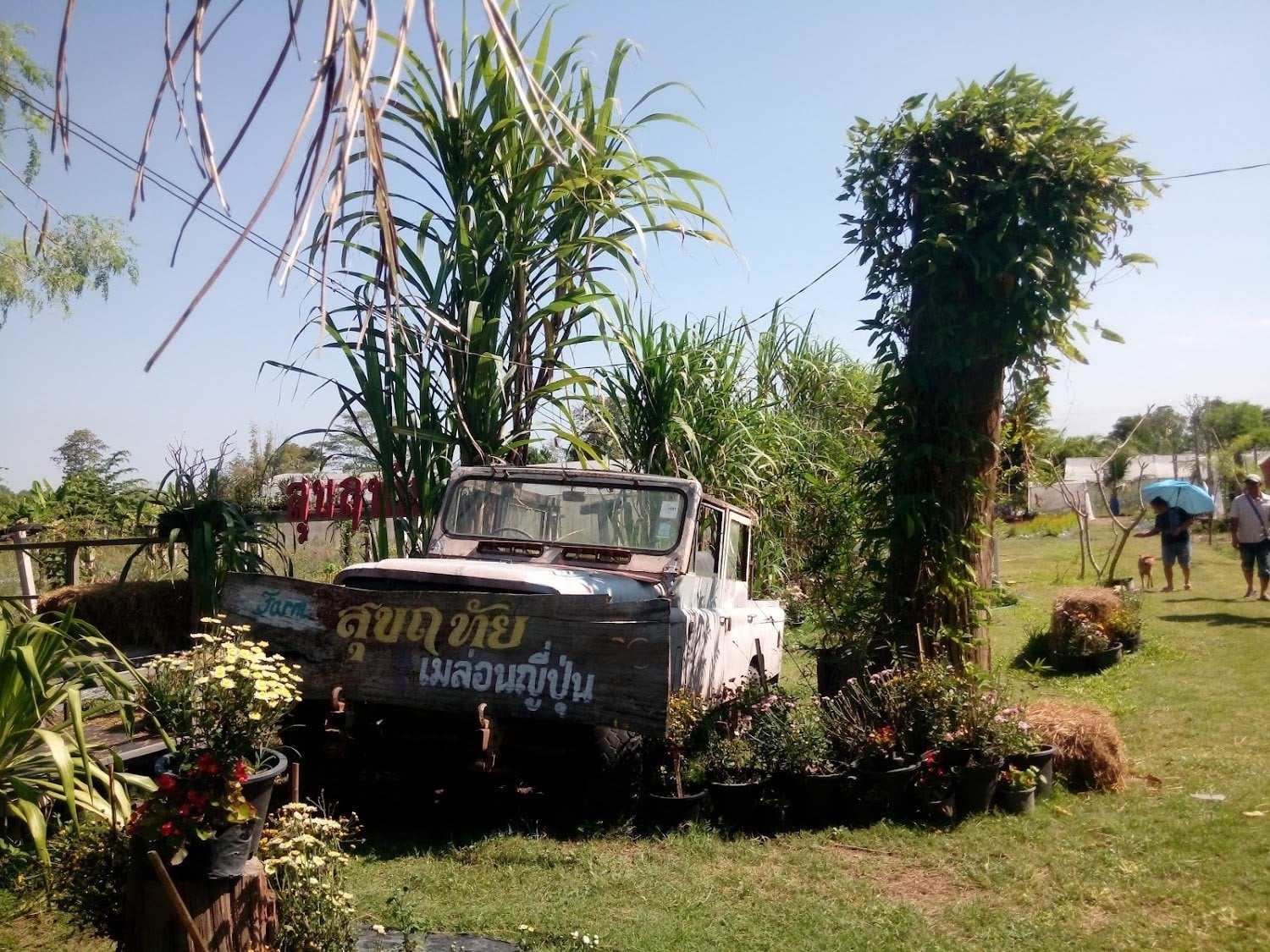 Ri Sukh Vthay Farm Me Lxn Yipun