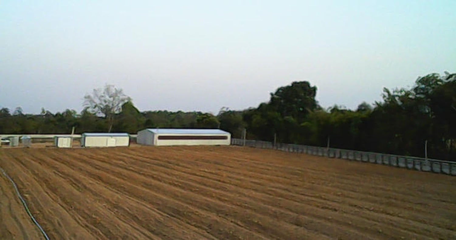 Kayya Farm