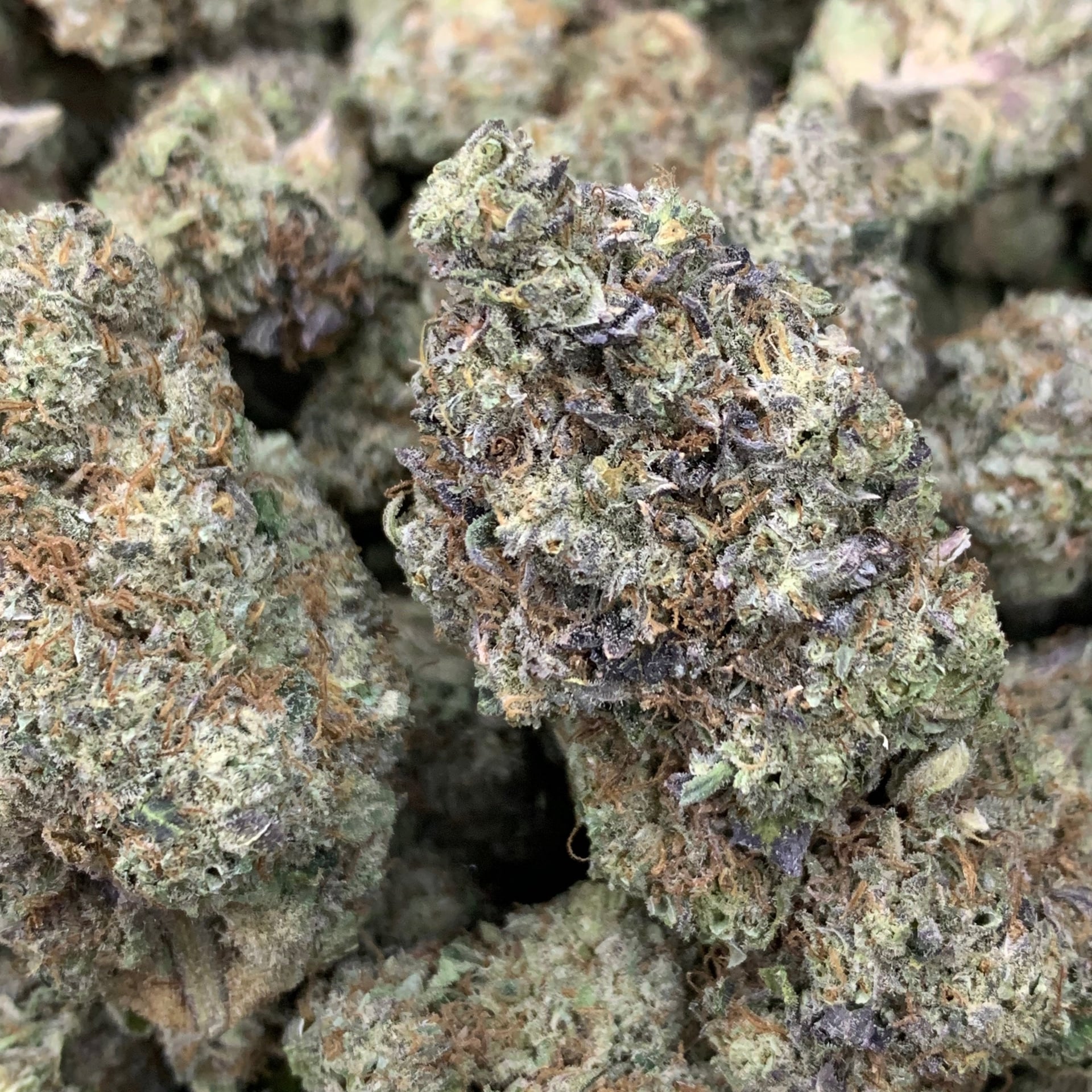 Timemachine420cafe Weedshop Weedshopbkk Cannabis Weed Cannabisshop