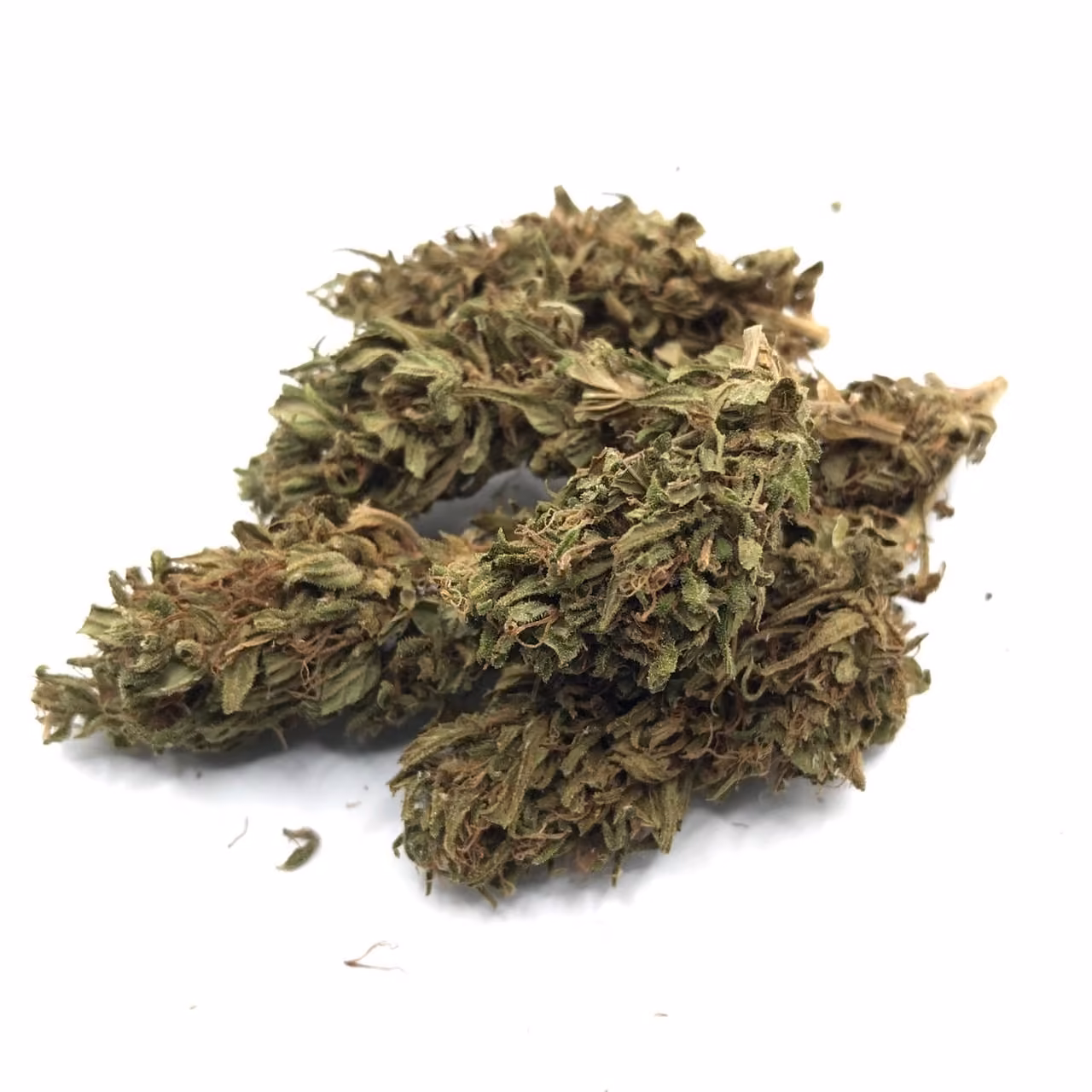 Cannabis Social Club Club 7508 logo