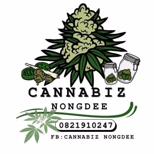 Nakhon Si Thammarat Cannabis Sosyal Kulübü Cannabiz N Dee logo