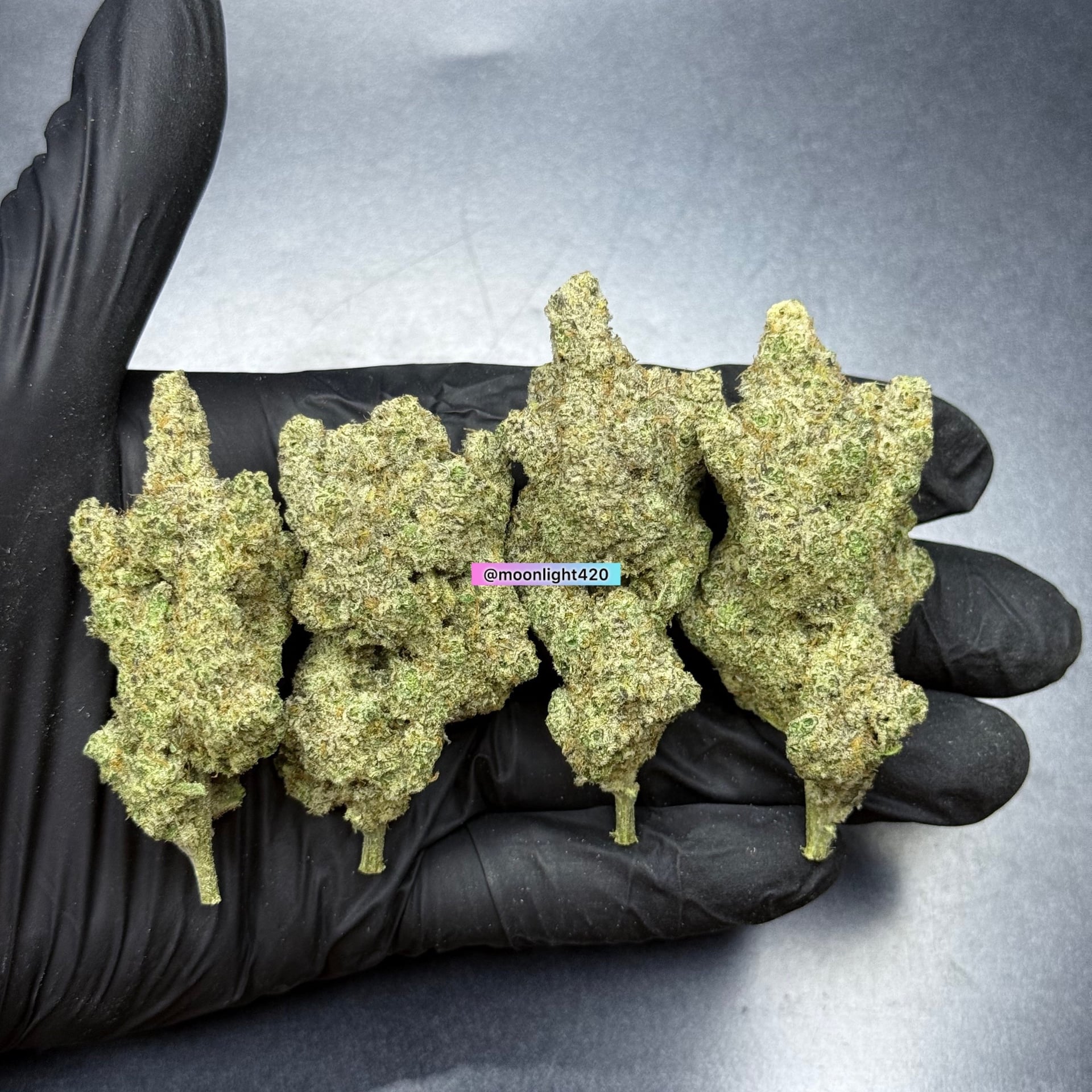 Moonlight420