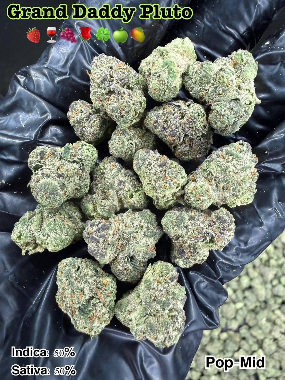 Cannabalize Baba - Cannabis Shop Pattaya