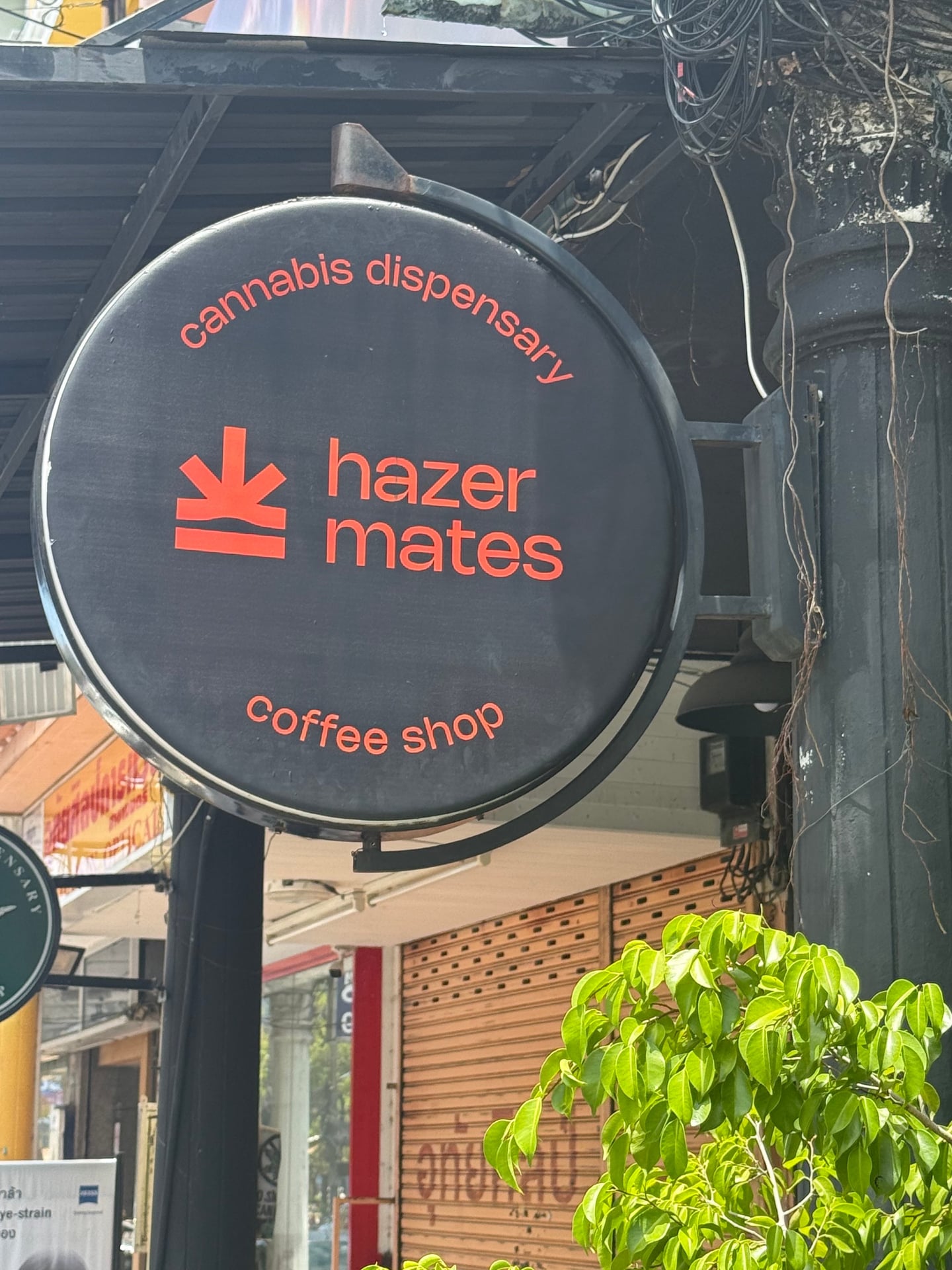 Hazer Mates Old Town