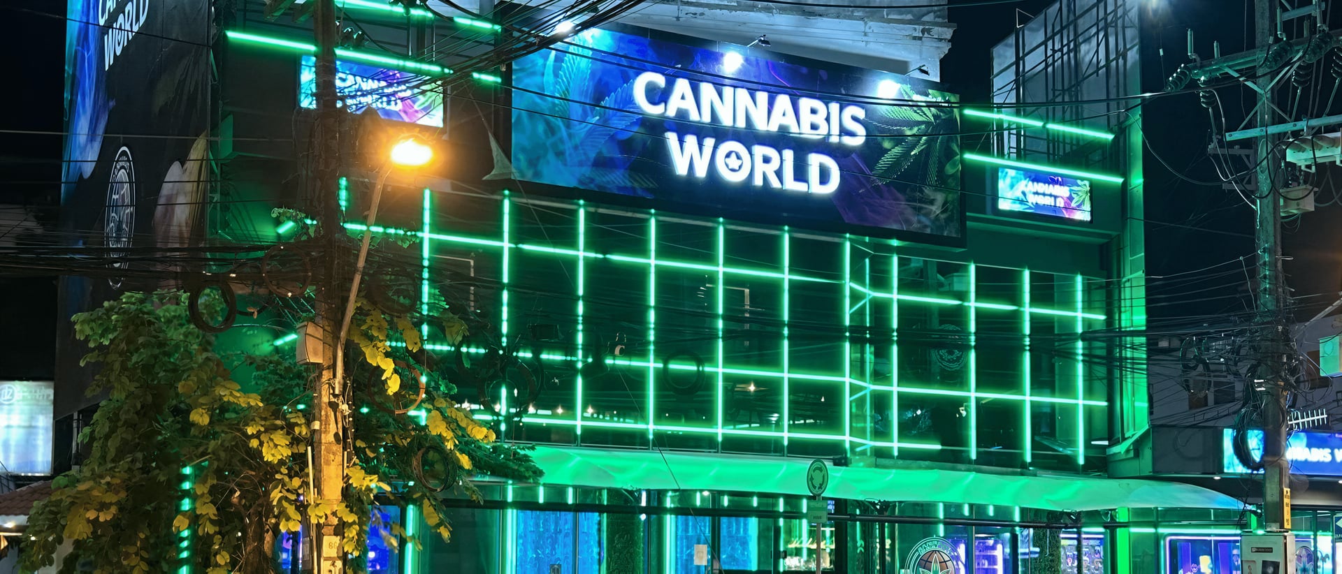 Cannabis World hero