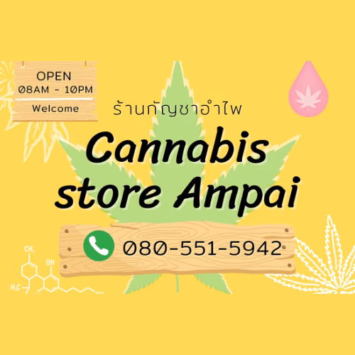 Cannabis Social Club Cannabis Store Ampai in Prachuap Khiri Khan logo